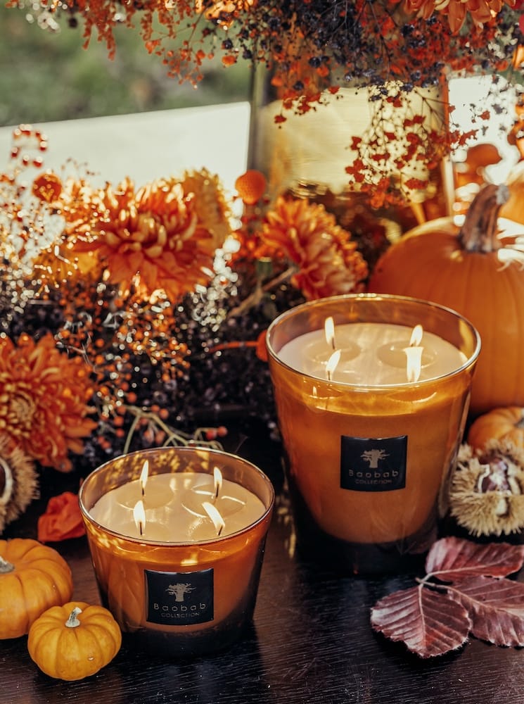 Baobab <br>Scented Candle - Cuir De Russie - Image 5
