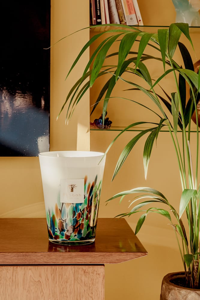 Baobab <br>Scented Candle - Rainforest Amazonia - Image 3