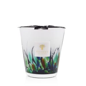 Baobab <br>Scented Candle - Rainforest Amazonia - Image 5