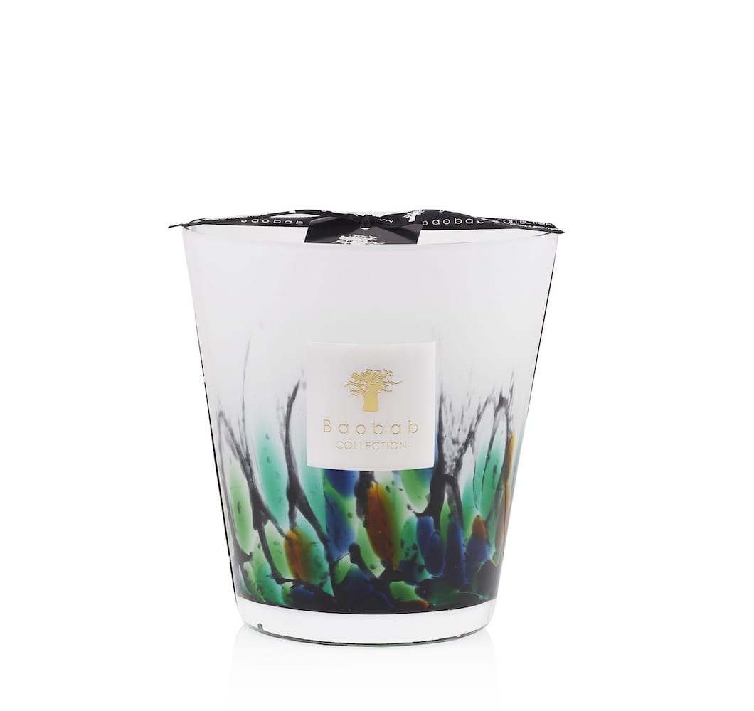 Baobab <br>Scented Candle - Rainforest Amazonia - Image 5