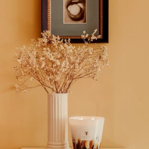 Baobab <br>Scented Candle - Rainforest Mayumbe - Image 4