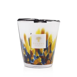 Baobab <br>Scented Candle - Rainforest Mayumbe - Image 6