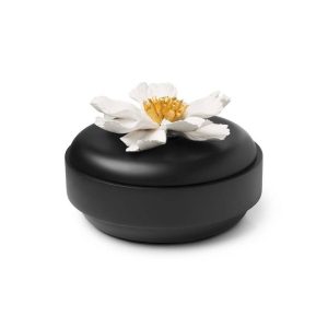 Abhika <br> Peony Flat Box Black