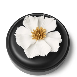 Abhika <br> Peony Flat Box Black - Image 3